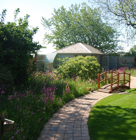 Shade Tolerant Wildflower Turf